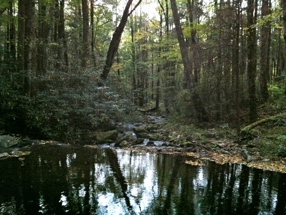 Cosby Creek